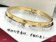 New Style Cartier Love Bracelet - SMALL MODEL (8)_th.jpg